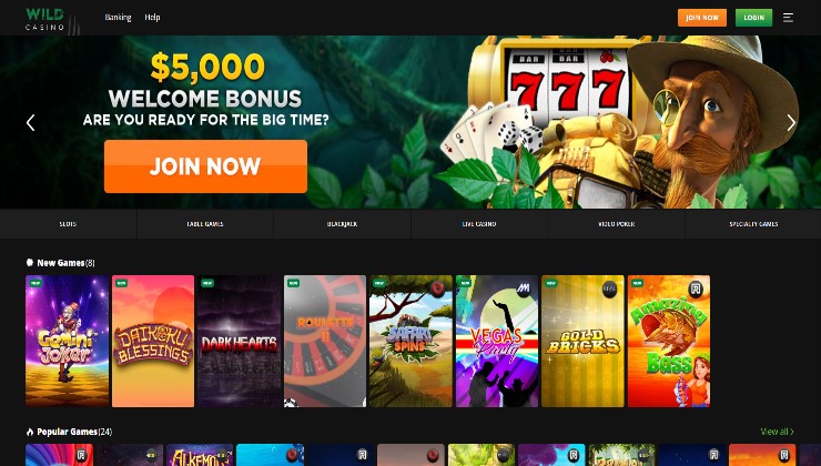 Wild Casino - overall best offshore casino