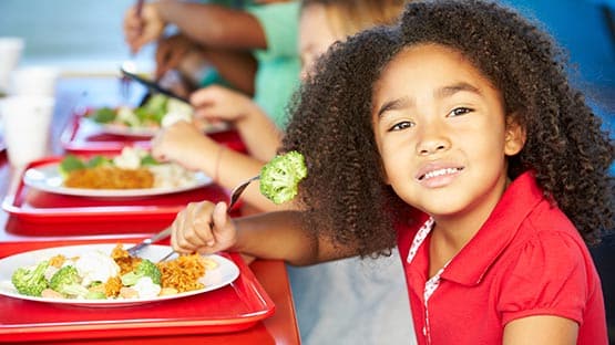 school lunch child nutrition food health